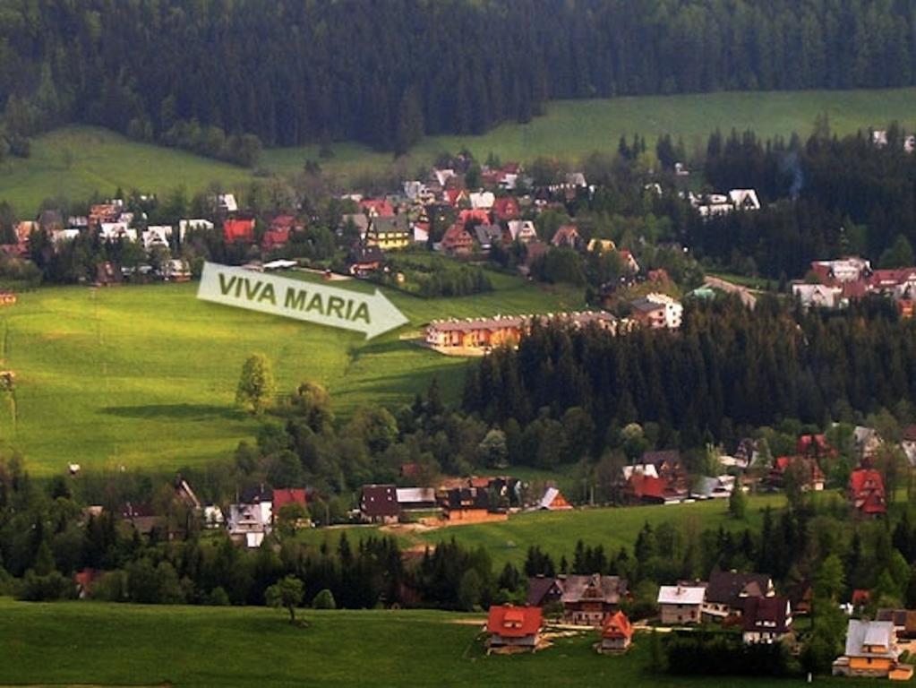 Viva Maria Apartamenty Zakopane Room photo